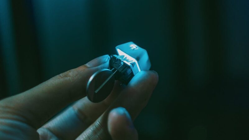 Fotó: FOX ^.ᆽ.^= ∫, Forrás: Pexels