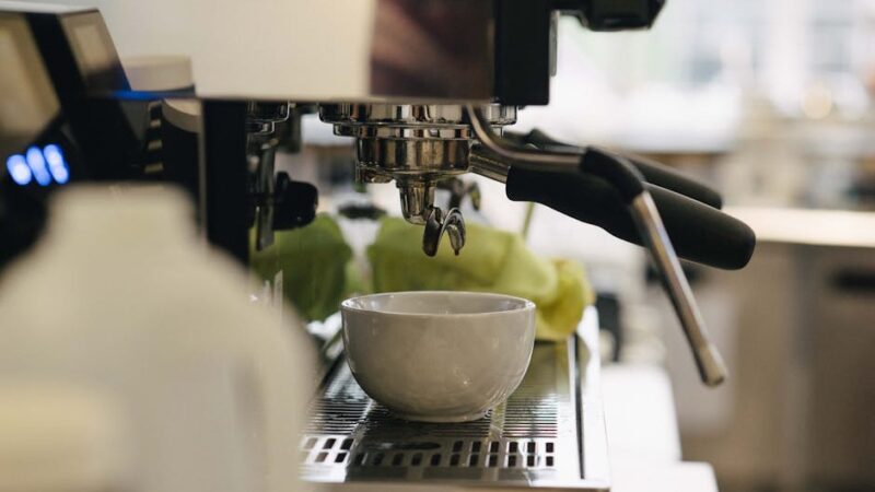 Illusztráció: Olga Lioncat